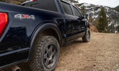 Bushwacker - Bushwacker 20108-02 OE Style Fender Flares