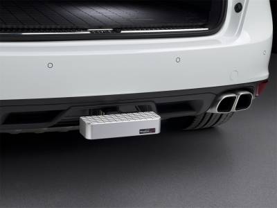 WeatherTech - WeatherTech 8ABBS3 Billet BumpStep